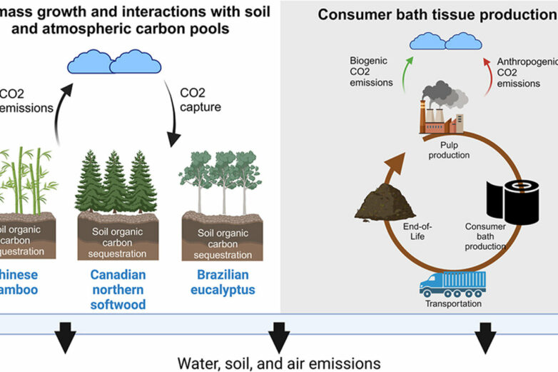Bamboo tissue paper may not be as eco-friendly as you think
