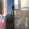 Blue Origin's New Glenn rocket landed its booster on a barge at ...