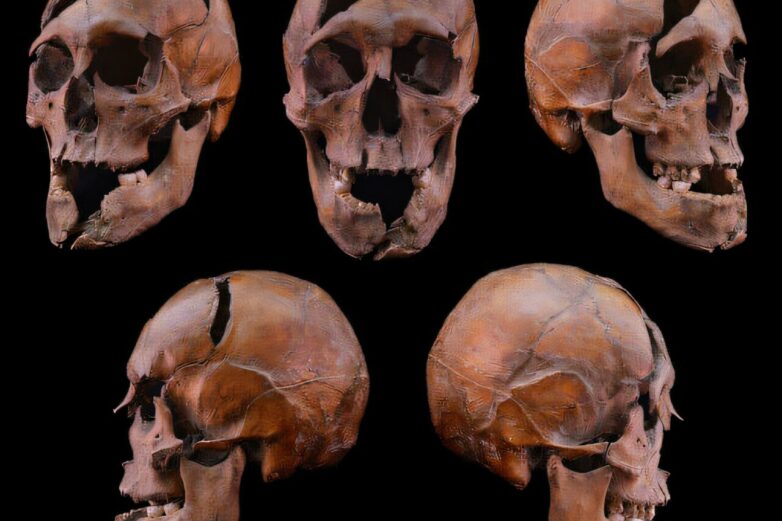 Cold case solved: Team confirms identity of medieval duke from ...