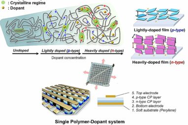 Concentration‑controlled doping turns a p‑type polymer ...