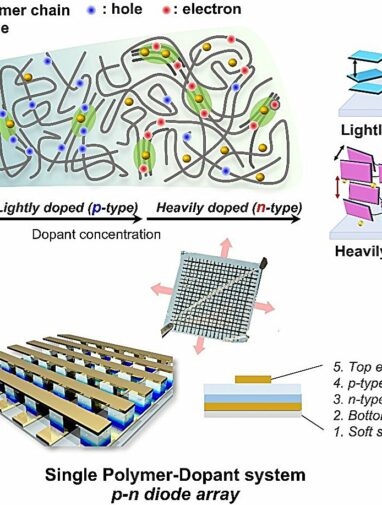 Concentration‑controlled doping turns a p‑type polymer ...