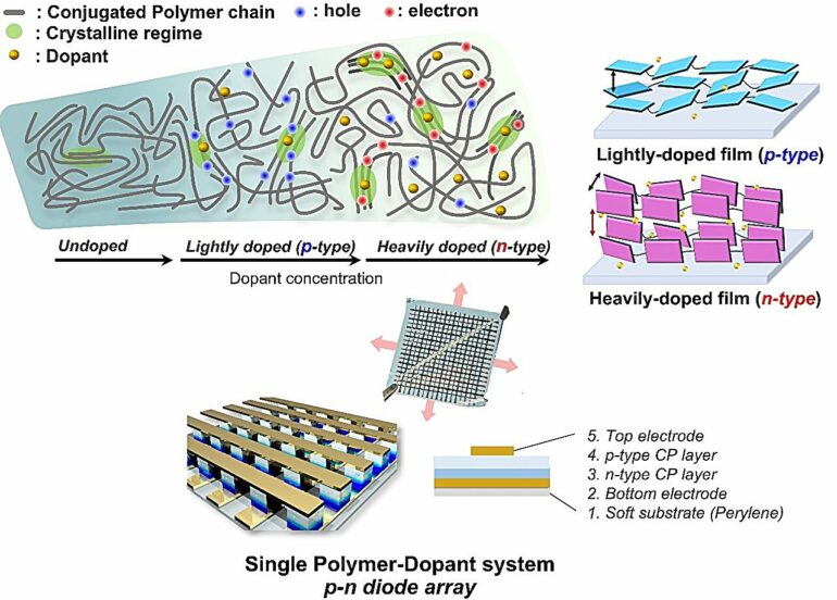 Concentration‑controlled doping turns a p‑type polymer ...