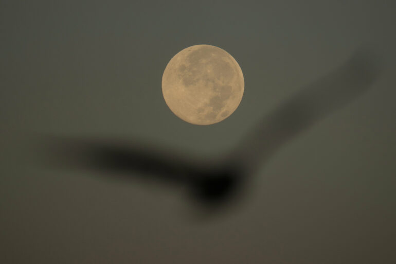 How to spot November's supermoon, the closest of the year