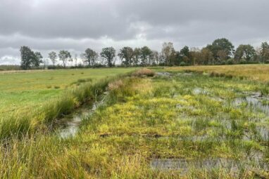 Multifunctional landscapes could address interconnected global crises