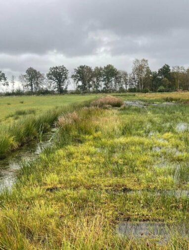Multifunctional landscapes could address interconnected global crises