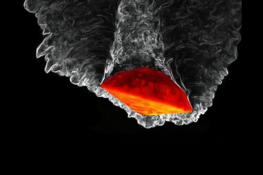 Unit-free theorem pinpoints key variables for AI and physics models