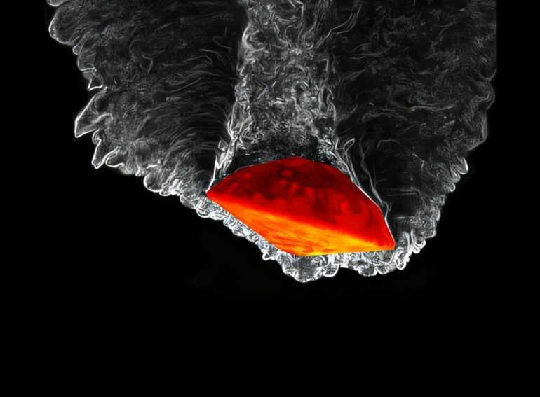 Unit-free theorem pinpoints key variables for AI and physics models