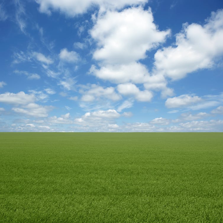 vast grassy landscape with blue sky and white clouds