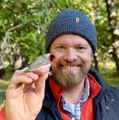 man holds a small grey bird with red on its face up with one hand