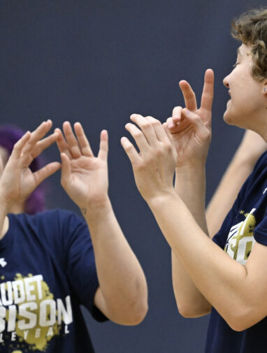 People who talk with their hands seem more clear