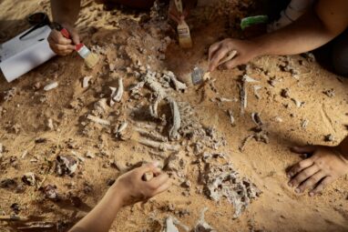 This incredibly rare burial ground reveals new secrets about the ...