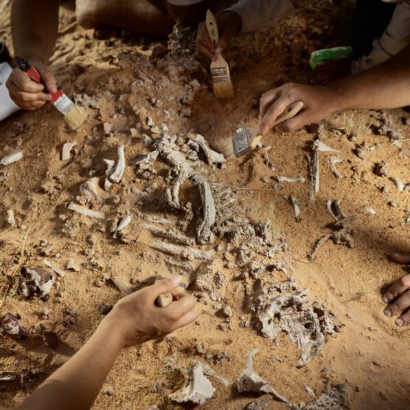 This incredibly rare burial ground reveals new secrets about the ...