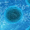 Viral outbreaks are always on the horizon. Here are the viruses an ...