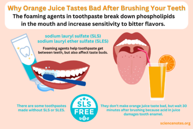 Why Orange Juice Tastes Bad After Brushing Your Teeth