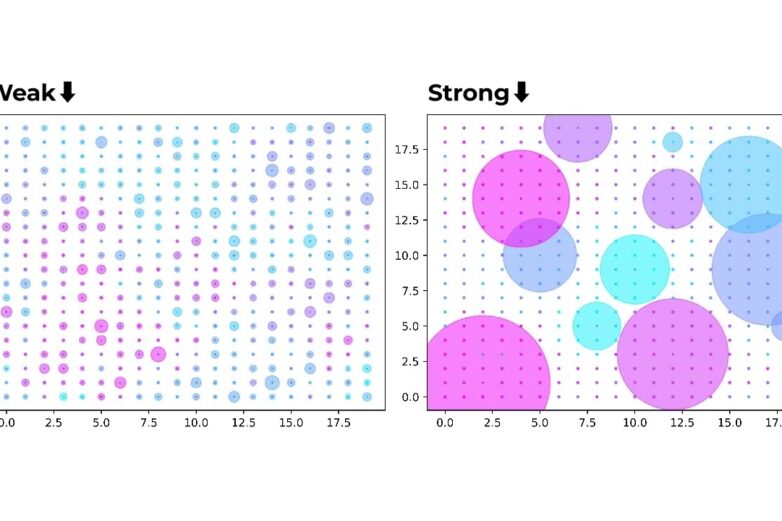 A human tendency to value expertise, not just sheer power ...