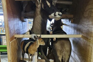 New technologies are stepping up the global fight against wildlife ...