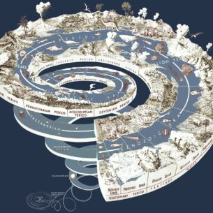 No animal alive today is 'primitive.' Why are so many still ...