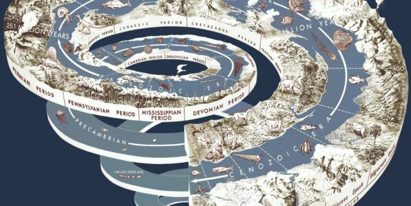 No animal alive today is 'primitive.' Why are so many still ...