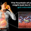 The Surprising Role of Your Gut Microbiome in Aging - StoryMD