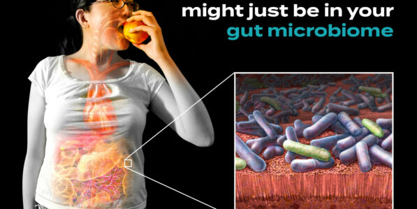 The Surprising Role of Your Gut Microbiome in Aging - StoryMD