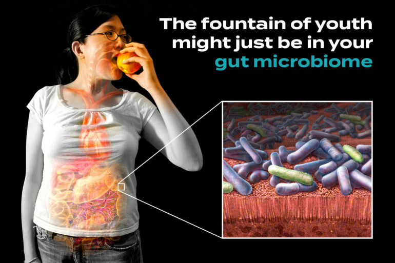 The Surprising Role of Your Gut Microbiome in Aging - StoryMD
